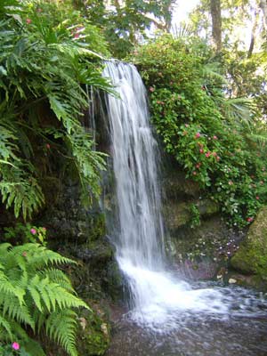 Rainbow Springs State Park